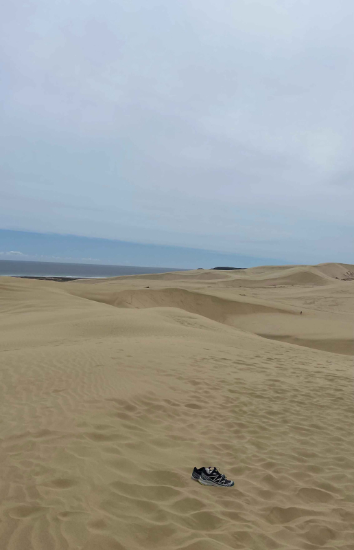 la grande dune de sable près de Cap reinga